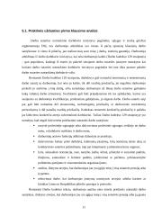 Atstovavimas civilinėje teisėje bei įgaliojimas 10 puslapis