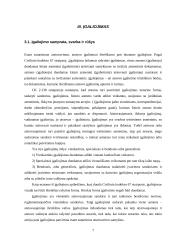 Atstovavimas civilinėje teisėje bei įgaliojimas 6 puslapis