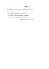 Audito samprata, reikšmė bei tikslai 2 puslapis