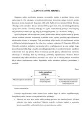 Audito samprata, reikšmė bei tikslai 3 puslapis