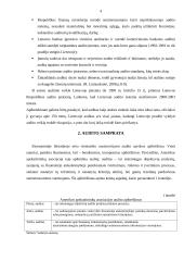 Audito samprata, reikšmė bei tikslai 4 puslapis