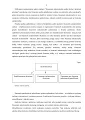 Audito samprata, reikšmė bei tikslai 5 puslapis