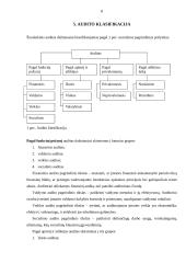 Audito samprata, reikšmė bei tikslai 8 puslapis