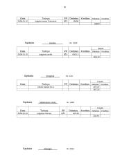 Bandomasis balansas: statybinių medžiagų tiekimas UAB "Lakaja" 16 puslapis