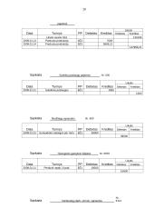 Bandomasis balansas: statybinių medžiagų tiekimas UAB "Lakaja" 20 puslapis