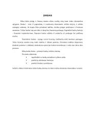 Bankų veikimo sistema 2 puslapis