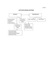 Bankų veikimo sistema 11 puslapis