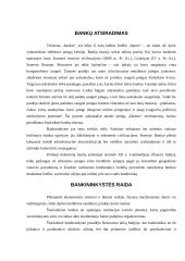 Bankų veikimo sistema 3 puslapis