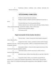 Bankų veikimo sistema 6 puslapis