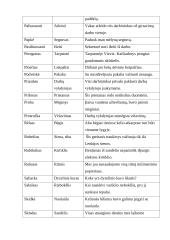 Barbarizmai geležinkelininkų kalboje 6 puslapis