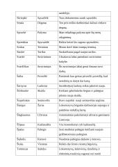 Barbarizmai geležinkelininkų kalboje 7 puslapis