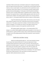 Bendrasis vidaus produktas (BVP) ir jo apskaičiavimo metodai 13 puslapis