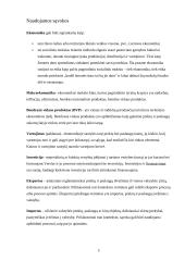 Bendrasis vidaus produktas (BVP) ir jo apskaičiavimo metodai 3 puslapis