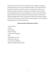 Bendrasis vidaus produktas (BVP) ir jo apskaičiavimo metodai 7 puslapis