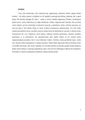 Bendrieji vadybos bruožai teatre ir versle 3 puslapis