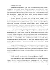 Bendrieji vadybos bruožai teatre ir versle 4 puslapis