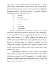 Bendrieji vadybos bruožai teatre ir versle 5 puslapis