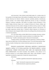 Besimokančios organizacijos principai 2 puslapis
