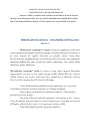 Besimokančios organizacijos principai 4 puslapis