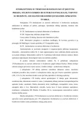 Biudžetinių įstaigų apskaita 2 puslapis