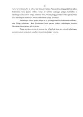 Biudžetinių įstaigų apskaita 12 puslapis