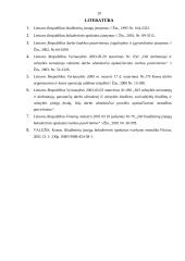 Biudžetinių įstaigų apskaita 20 puslapis