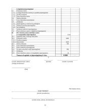 Buhalterinė apskaita: UAB "Diana" 11 puslapis