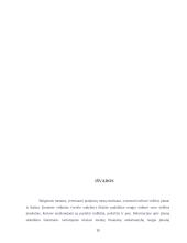 Buhalterinė apskaita: UAB "Diana" 13 puslapis