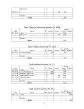 Buhalterinė apskaita: UAB "Diana" 3 puslapis