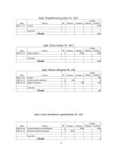 Buhalterinė apskaita: UAB "Diana" 4 puslapis