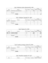 Buhalterinė apskaita: UAB "Diana" 5 puslapis