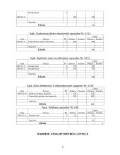 Buhalterinė apskaita: UAB "Diana" 6 puslapis