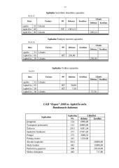 Buhalterinė apskaita: UAB "Kopos" 11 puslapis