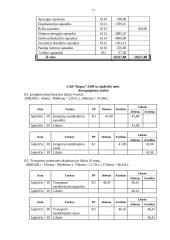 Buhalterinė apskaita: UAB "Kopos" 12 puslapis
