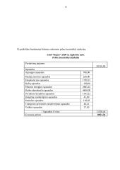 Buhalterinė apskaita: UAB "Kopos" 14 puslapis