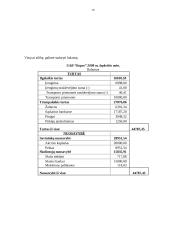 Buhalterinė apskaita: UAB "Kopos" 15 puslapis