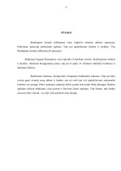 Buhalterinė apskaita: UAB "Kopos" 16 puslapis