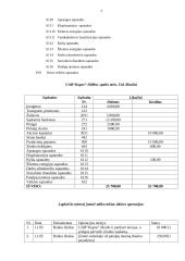 Buhalterinė apskaita: UAB "Kopos" 3 puslapis