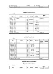 Buhalterinė apskaita: UAB "Kopos" 8 puslapis