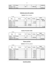 Buhalterinė apskaita: UAB "Kopos" 9 puslapis