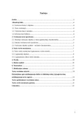 Buto vertinimas 2 puslapis