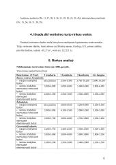 Buto vertinimas 11 puslapis