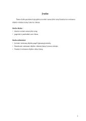 Buto vertinimas 3 puslapis