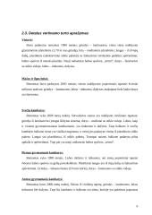 Buto vertinimas 6 puslapis