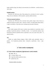 Buto vertinimas 7 puslapis