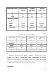 Buto vertinimas 10 puslapis