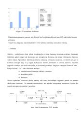 Butų kainos Lietuvos miestuose 15 puslapis