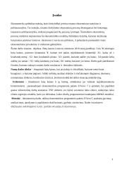 Butų kainos Lietuvos miestuose 3 puslapis