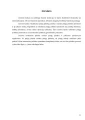 Centrinis bankas (CB) ir monetarinė politika 11 puslapis