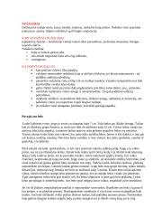 Civilinės saugos perspėjimo signalai 4 puslapis